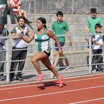 Captura de pantalla 2025-10-06 a la(s) 12.21.38 a. m.